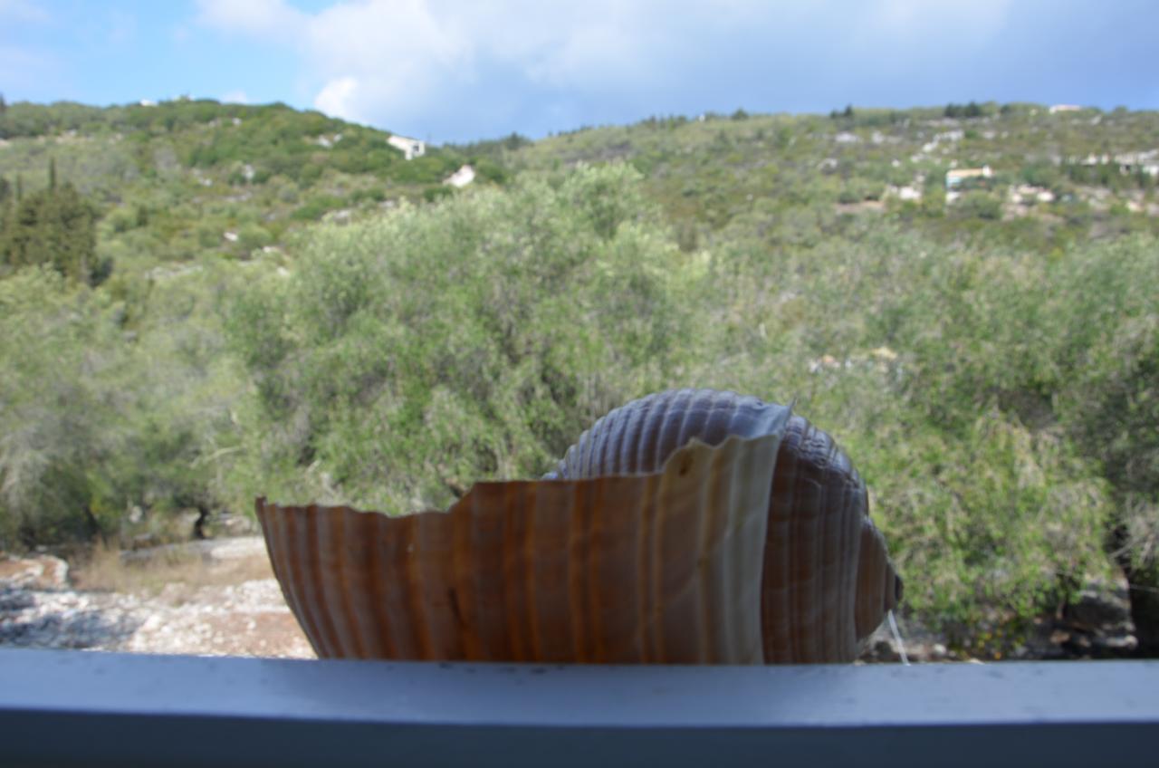 Villa Clementine Gaios Exterior photo